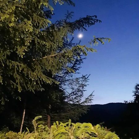 Kalmul Naturii, Iuresul Padurii Firiza Exterior photo